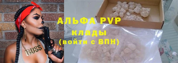 индика Белоозёрский