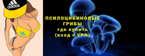 индика Белоозёрский