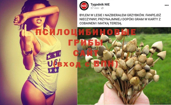 mix Белокуриха
