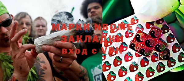 индика Белоозёрский