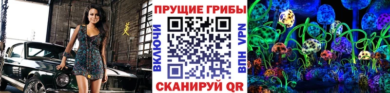 Купить где  Реж  Галлюциногенные грибы GOLDEN TEACHER 